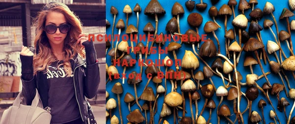 Альфа ПВП Абаза