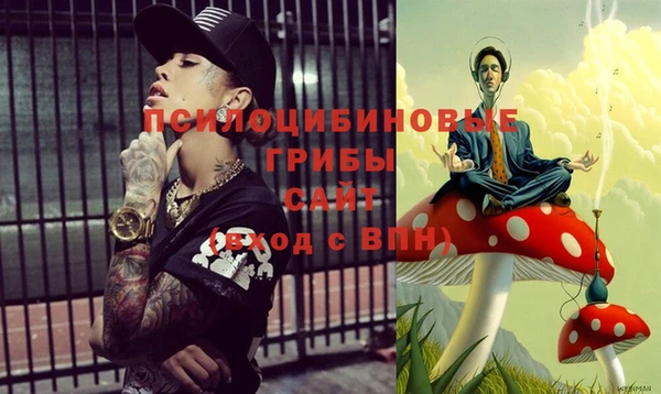 Альфа ПВП Абаза